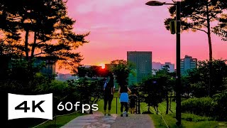 Walking in Seoul Korea · Namsan Park Baekbeom Square · Sunset · Ambience · 4K 60fps [upl. by Nytsuj]