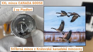 XXL mince Canada Goose 2oz 2025  kanadské stříbro [upl. by Hauhsoj650]