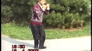 Xing Yi Quan Five Elements Master Du Fukun [upl. by Thissa134]