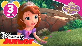 Jej Wysokość Zosia  Księżniczka Jadzia  Oglądaj w Disney Junior [upl. by Adala]