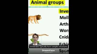 Classifying Animals in 2024 Vertebrates vs Invertebrates  Explained in Detail Generated using AI [upl. by Atalie]