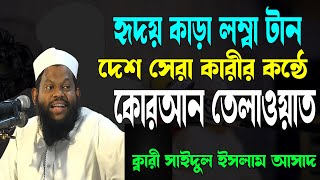 World Best Quran Recitation  Qari Saidul Islam Asad  কারী সাইদুল ইসলাম আসাদ  সেরা কোরআন তেলাওয়াত [upl. by Ardelle415]