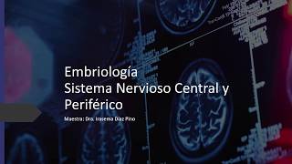 Embriología Sistema Nervioso [upl. by Caneghem556]