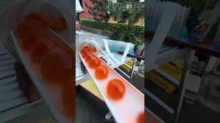 Rain gutter  Dragon Ball rotating marble run tunnel asmr satisfying [upl. by Kilby]