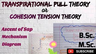 What is Transpirational pull theory Cohesion tension theory BSc MSc Plant Physiology Easy Explain [upl. by Irfan]