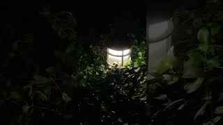 Lawn Light LED Outdoor Community Road Landscape Lighting Villa Park Forest Garden Path Lamp [upl. by Morna]