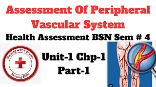 Assessment of Peripheral Vascular System  Health Assessment 4th Sem  BSN Chap  1 Part1 [upl. by Ranip]