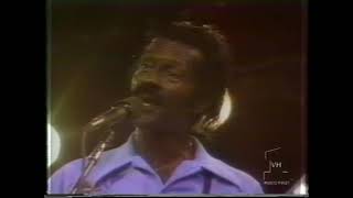 Chuck Berry  LIVE My Ding A Ling [upl. by Aibos]