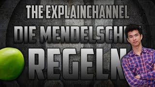 Die Mendelschen Regeln einfach erklärt [upl. by Dal76]