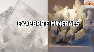 Lecture 8 Evaporite Minerals Gypsum Anhydrite Halite Sylvite geology minerals [upl. by Mcleod]