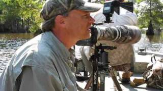 Wildlife Photography with Ben Clewis at Lake Marion SC [upl. by Lemrac]