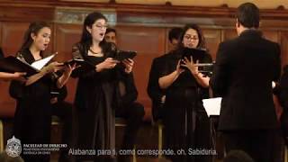 Santa Hildegard von Bingen O virtus sapientiae – Felipe Ramos Taky director [upl. by Lemuel328]