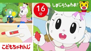 【16分アニメ】わたしはおいしゃさん！ お熱をはかります♪  ごっこ遊び  しまじろうのわお！アニメ  しまじろうチャンネル公式 [upl. by Aaronson784]