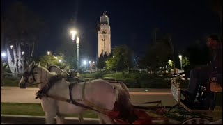 Un Tour En Calèche à Marrakech 😻🇲🇦جولة ف الكوتشي ب مراكش [upl. by Yesor]