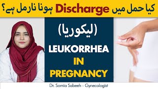 Leukorrhea In Pregnancy Is It Normal  Pregnancy Mein Discharge Ka Hona  Vaginal Discharge [upl. by Demodena]