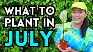 Everything You Can Plant Right NOW In July  Summer Garden Ideas  Fall Garden Seed Sowing [upl. by Nodnerb]