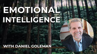 Daniel Goleman PhD Emotional Intelligence Now [upl. by Jopa388]