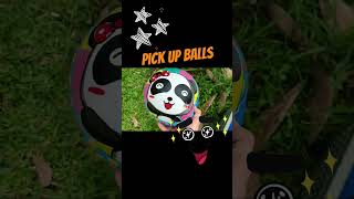 Pick up the balls playball collectball funvideo funnyvideo entertainment [upl. by Allys]