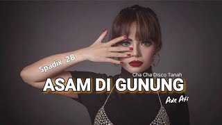 ASAM DIGUNUNG GARAM DILAUT  ADE AFI  SPADIX 28  CHA CHA DISCO TANAH SPESIAL REMIX [upl. by Nerhtak]