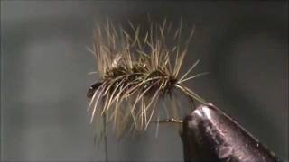 Fly Tying a Griffiths Gnat with Jim Misiura [upl. by Rehc]