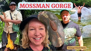 Mossman Gorge🪃135 million years old 🥰 Far North Queensland Australia [upl. by Phaedra]