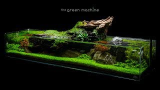 Aquascape Tutorial Simplicity by James Findley  how to create a planted tank [upl. by Esli601]