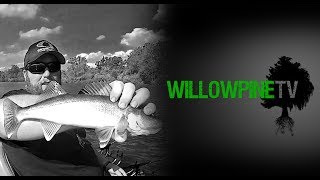 WPTV 5  Memorial Day Walleye Fishing  Brookville amp Prairie Creek [upl. by Pinette]