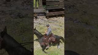 91 Players missed this secret card  RDR2 [upl. by Lehacim]