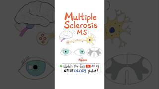 Multiple Sclerosis MS Demyelinating Autoimmune Disease  Part 2…biology science neuro anatomy [upl. by Abbotsen831]