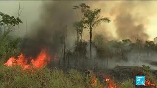 En Amazonie la déforestation atteint un niveau inégalé depuis treize ans [upl. by Onimixam]