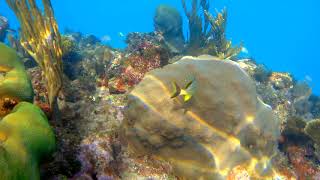 Snorkeling Jibacoa Cuba [upl. by Turtle]