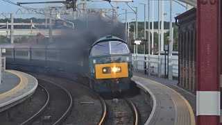 Class 52 passing Wellingborough [upl. by Astto]