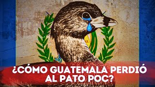 ¿Cómo se extinguió el Pato Poc en Guatemala 🪿 Tragedia en el Lago Atitlán 😔 [upl. by Atiuqehc]