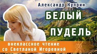 Белый пудель рассказ Александра Куприна PRO сказки [upl. by Marc925]