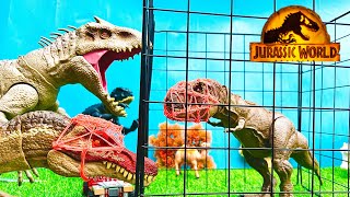 🔴All Velociraptor Godzilla Jurassic Pyroraptor Dinosaure Raptor DeinosuchusThe King Of The River [upl. by Tripp]