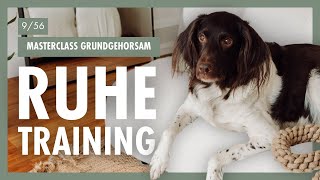 Protocol For Relaxation  RUHETRAINING Für Deinen Hund – So Entspannst Du Deinen Hund – Tag 9 [upl. by Dud874]