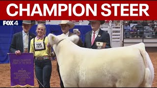 Leadfoot named grand champion at 2024 Fort Worth Stock Show amp Rodeo [upl. by Hakim]