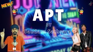 APT Sandaru Sathsara  TikTok Trend Budots  Dj Junier Remix fr Dj Jm [upl. by Nilrev845]