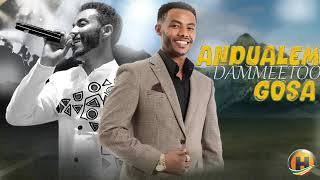 Andualem Gosaa DAMMEE TOO New Ethiopian Oromo Music 2024 [upl. by Alesi]