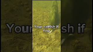 Do all is the best🥶fish fishing catfish yourifyou fun bass shorts youtubeshorts videos [upl. by Demaria]