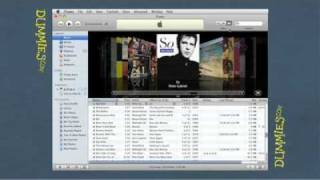 Getting to Know iTunes For Dummies [upl. by Nohsed]