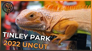 Tinley Park Reptile Show October 2022 [upl. by Ahsatel]