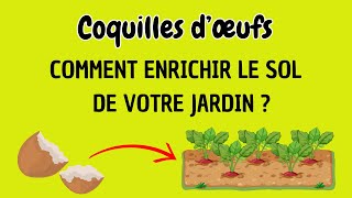 Comment Utiliser les Coquilles dŒufs pour Enrichir le Sol de votre Jardin ou de votre Potager [upl. by Peltier]