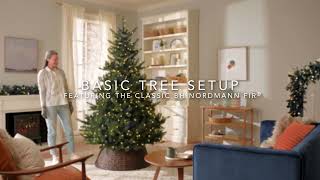 Basic Tree Setup Featuring The Classic Balsam Hill BH Nordmann Fir [upl. by Aynam450]