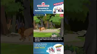 Terrestrial and aquatic food chains  Learn Biology with Home Revise [upl. by Yarahs]