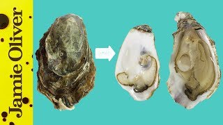 How To Open Oysters  1 Minute Tips  Bart’s Fish Tales [upl. by Margit318]