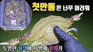 꽃게 첫만통 했습니다 투명한 물색에서 넉넉히 잡았어요 꽃게해루질 허가족TV [upl. by Joscelin]