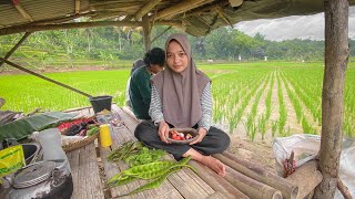 Gadis Desa Cianjur IDAMAN Cantik dan Pandai Memasak Ngeliwet Di Sawah  Suasana Pedesaan Sunda [upl. by Ahern]