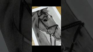 💕horse art painter hyperrealism drawing [upl. by Delaryd]