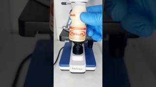 🤯Inside Yakult Probiotic Drink 🤯 microscope amscope science biology [upl. by Tevis]